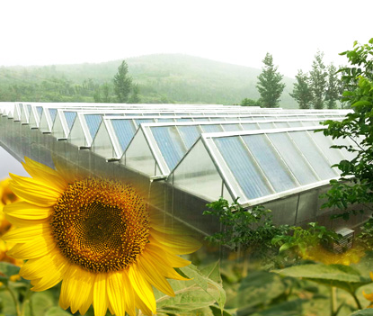 新型太陽能建筑很“聰明”，節電節水不費力